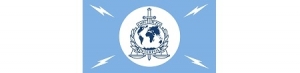 INTERPOL flag